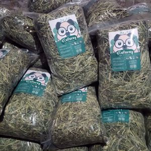 Nutritious Guinea Pig Food for Happy Healthy Pets
