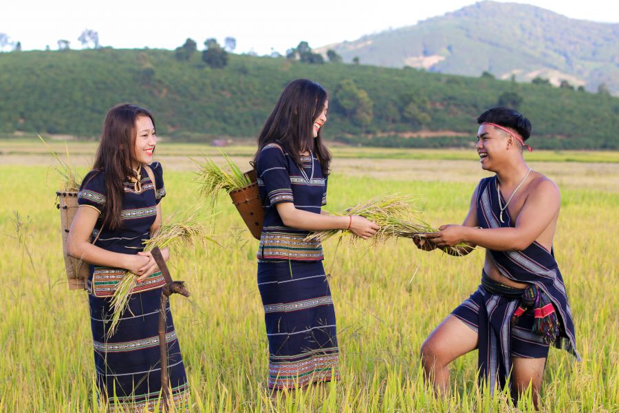Minister Endorses Youth Led Eco Friendly Rice Init