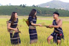 Minister Endorses Youth Led Eco Friendly Rice Init